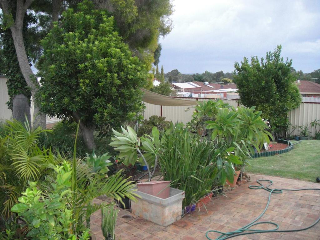 Armadale Cottage Bed & Breakfast Redcliffe Exteriör bild