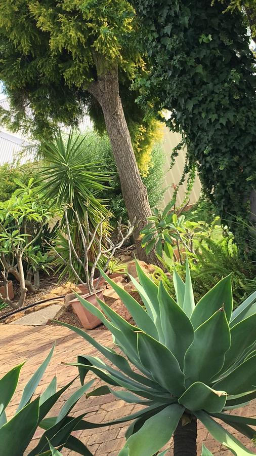 Armadale Cottage Bed & Breakfast Redcliffe Exteriör bild