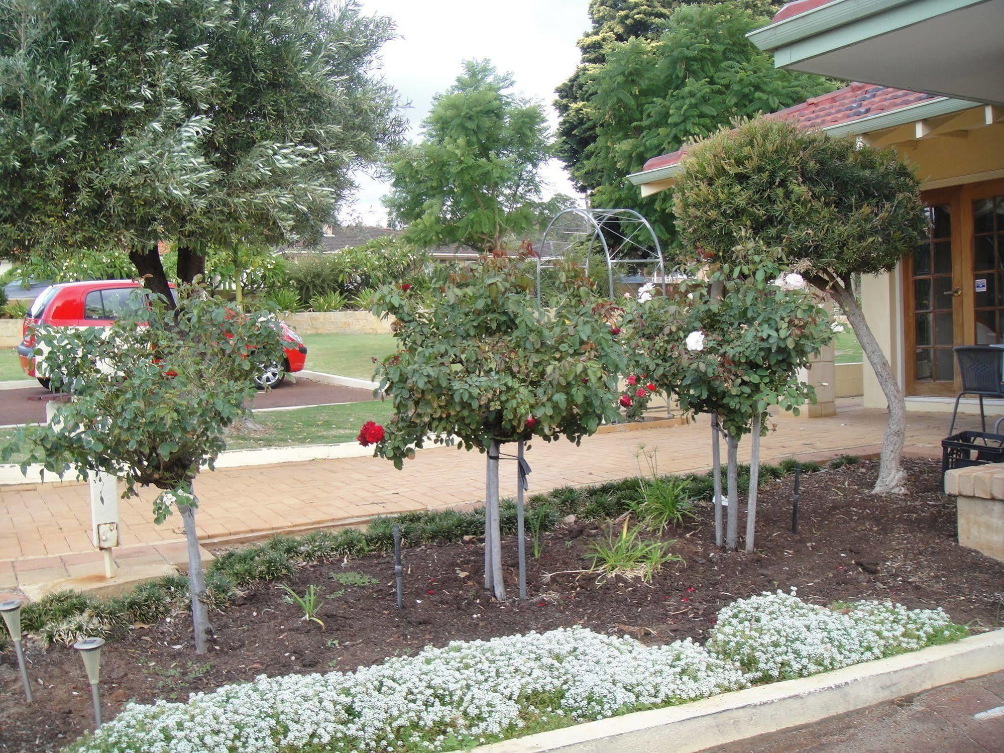 Armadale Cottage Bed & Breakfast Redcliffe Exteriör bild